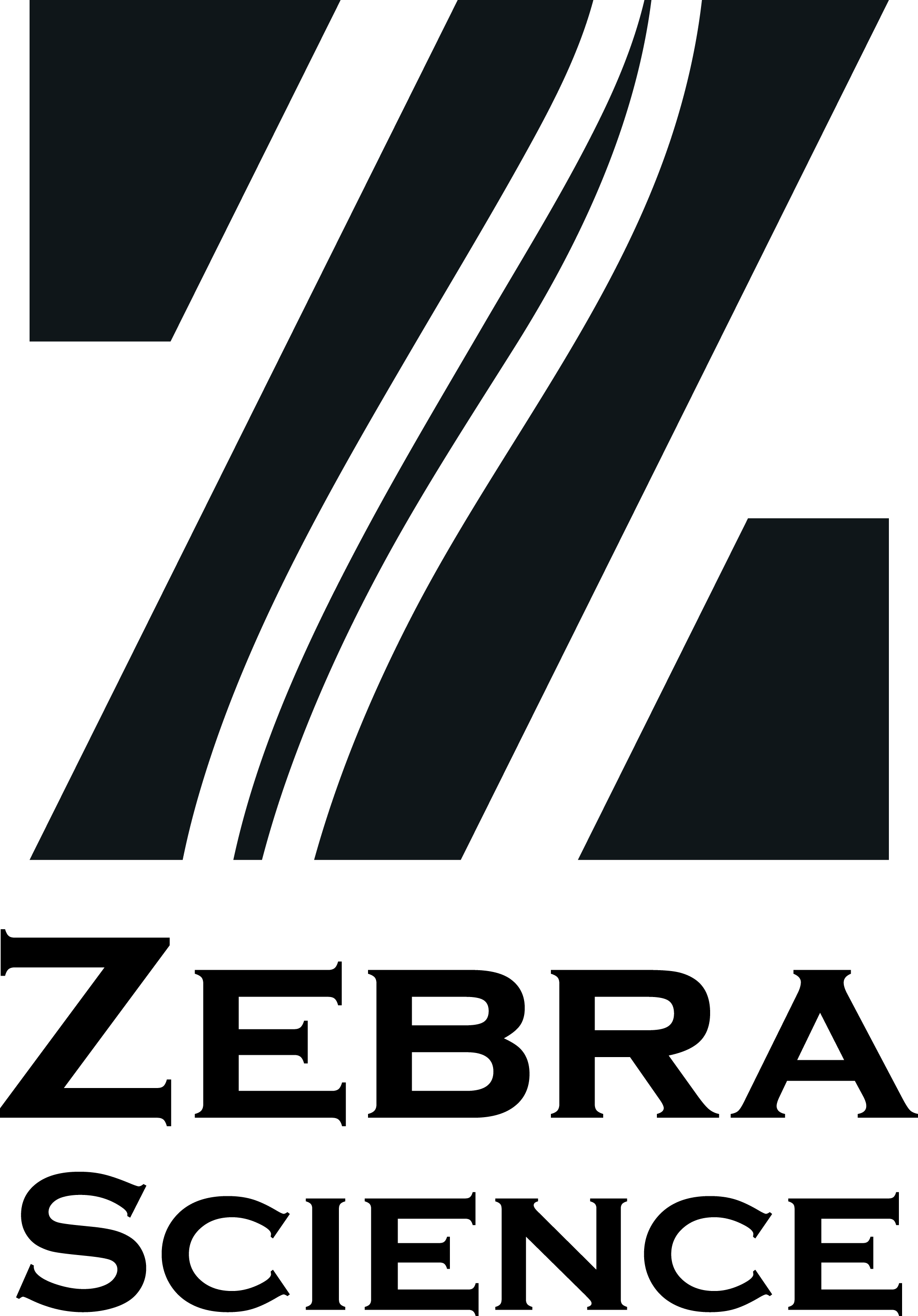 logo n4